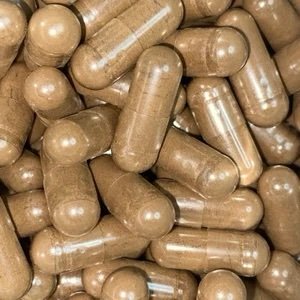 Uses of Wavy Cap Mushrooms